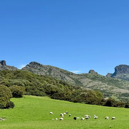 Casa vacanze Zia Mimmia
