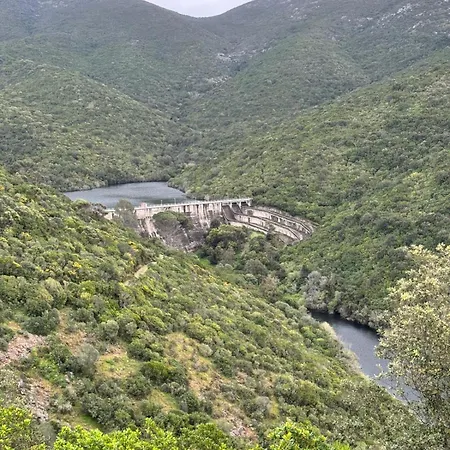 Casa vacanze Zia Mimmia *