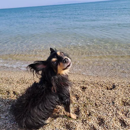 Casa vacanze Zia Mimmia *